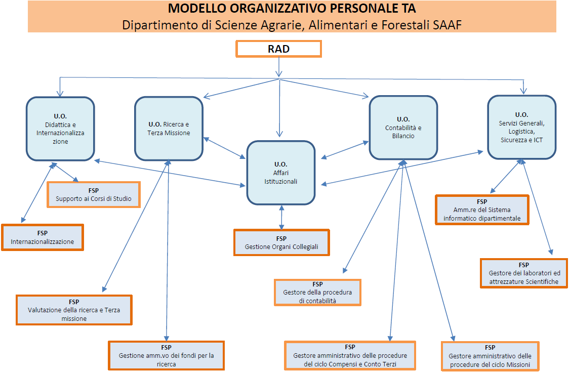 Modello organizzativo SAAF 2023