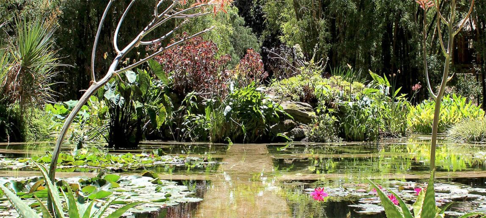 Orto Botanico dell’Università di Palermo e Fondazione Radicepura lanciano la call “Il Mediterraneo, ovunque”