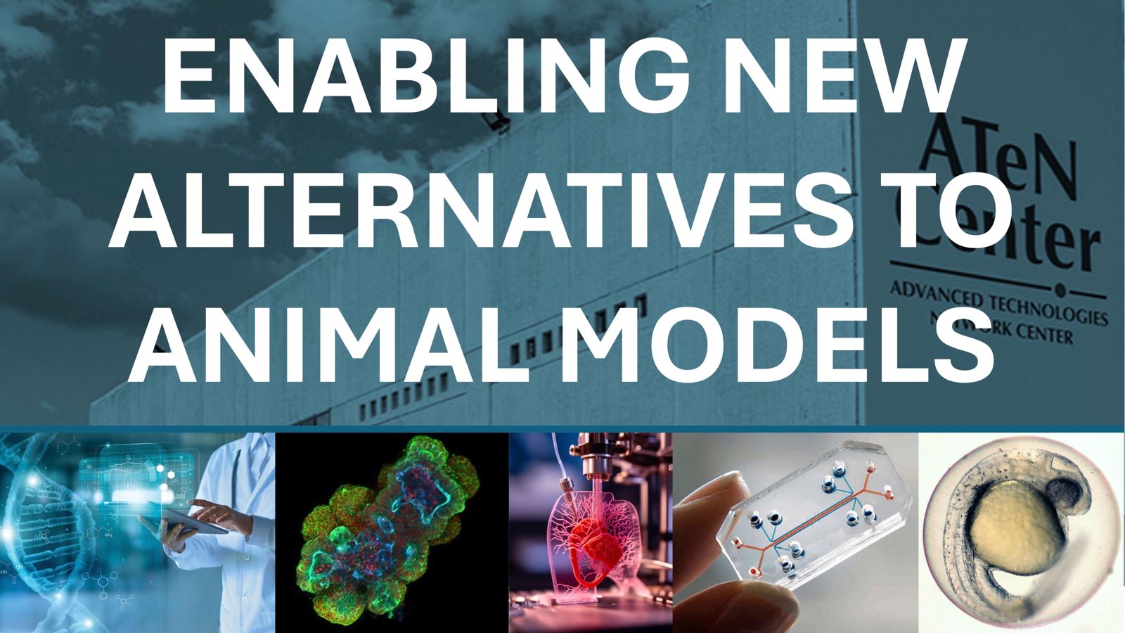 “ENABLING NEW ALTERNATIVES TO ANIMAL MODELS”: via al workshop sulla ricerca finanziata dal Ministero della Salute